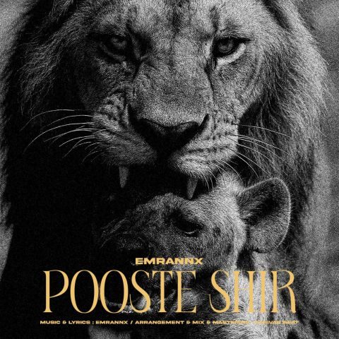 دانلود آهنگ عمران ان ایکس پوست شیر