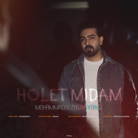 دانلود آهنگ محمدرضا شوندی هولت میدم