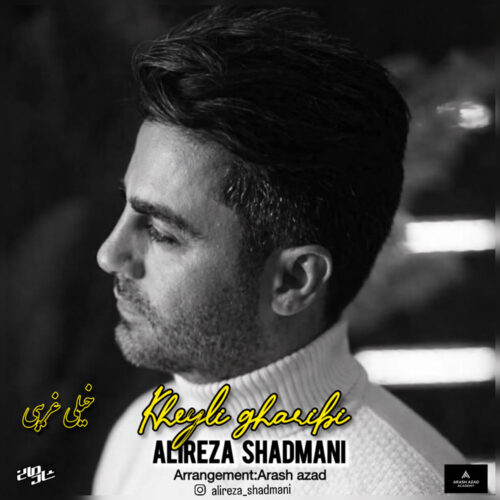 دانلود آهنگ علیرضا شادمانی خیلی غریبی
