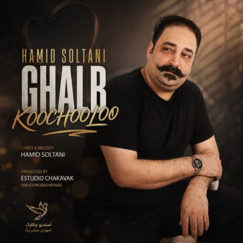 دانلود آهنگ حمید سلطانی قلب کوچولو دانلود آهنگ حمید سلطانی قلب کوچولو