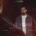 دانلود آهنگ محمدرضا شوندی هولت میدم دانلود آهنگ محمدرضا شوندی هولت میدم